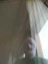 FO_MASK_12_HH_04.JPG (96811 Byte)