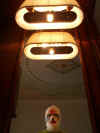 FO_MASK_25_FIRE_06a.JPG (104624 Byte)