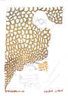 SP-515_SOCIETE_LUTECE.JPG (71338 Byte)