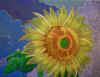 SP-KATO_S13.jpg (95680 Byte)