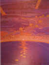 SP-KATO_S17.jpg (124561 Byte)