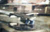 SP-SEB-006-damas.jpg (95498 Byte)