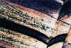SP-SEB-011-kumir.jpg (92964 Byte)