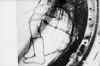 SP-SEB-020-pown.jpg (100679 Byte)