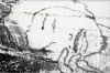 SP-SEB-028-uska.jpg (99663 Byte)