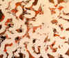 SP-WADO-13_Forget.jpg (130258 Byte)